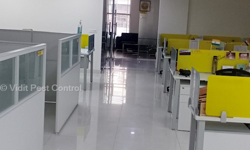 Vidit Pest Control - Pest Control in Sector 37, Faridabad