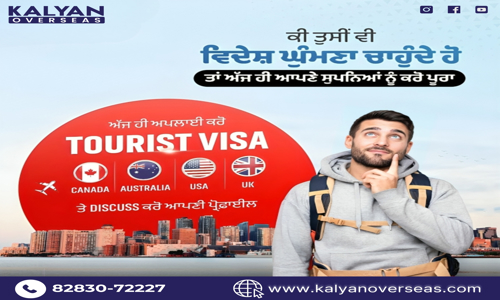 Kalyan Overseas - Study in Abroad Consultants - Entrance Exam Coaching in Ferozepur Road, Ludhiana
