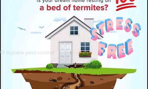 Mycare pest control - Pest Control in Broadway, chennai
