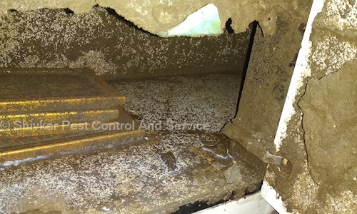 Shivkar Pest Control And Service - Pest Control in Surat Dumas Road, Surat