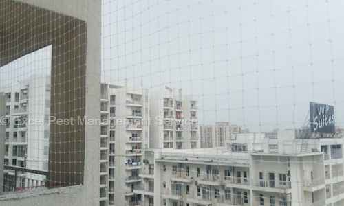 Excel Pest Management Service - Pest Control in C Scheme, Jaipur