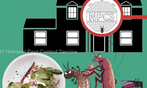 National Pest Control Service - Pest Control in Nava Naroda, Ahmedabad
