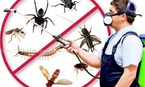 PCS Pest Control Services - Pest Control in Beleghata, Kolkata