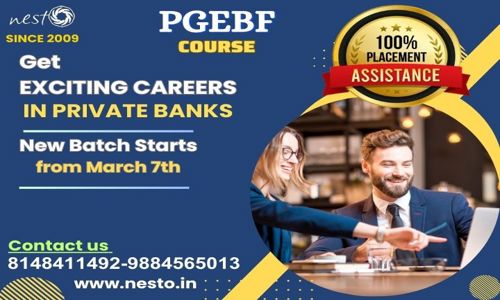 Nesto Institute  - Finance & Accounting tuitions in  T.Nagar, Chennai