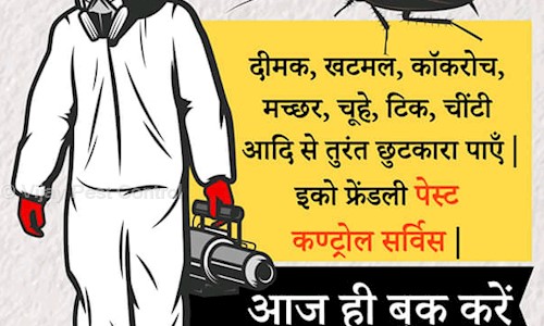 Vijay Pest Control - Pest Control in SGM Nagar, Faridabad