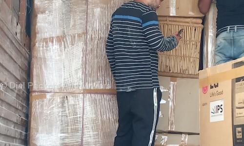 Dial Packers And Movers - Packers and Movers in Sector 84, gurgaon