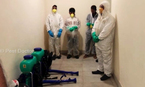 Pest Doctor - Pest Control in Vidyaranyapura, Bangalore