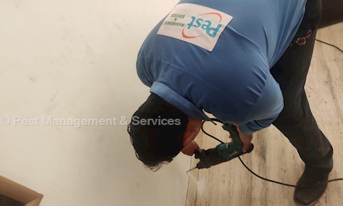 Pest Management & Services - Pest Control in Andheri East, Mumbai