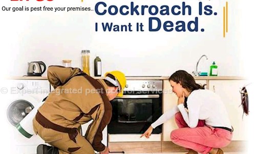Expert integrated pest control services - Pest Control in Singheshwar, Madhepura