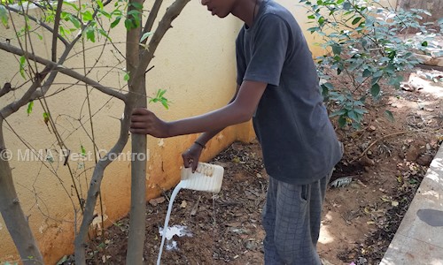 M M Agency - Pest Control in Ullal Uppanagar, Bangalore