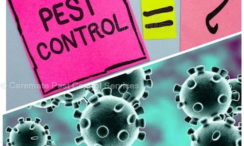 Caremate Pest Control Services - Pest Control in Palanpur, Surat