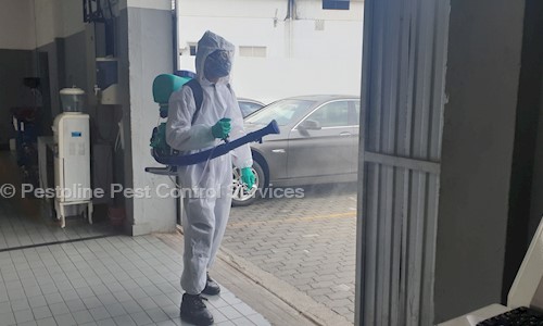 Pestoline Pest Control Services - Pest Control in NH Bypass Road, Cochin