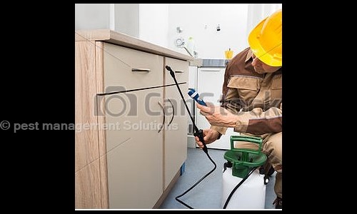 pest management Solutions - Pest Control in Ferozepur Road, Ludhiana
