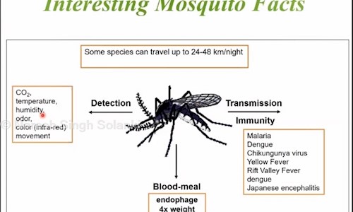 Naresh Singh Solanki - Pest Control in Khandari, Agra