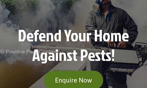 Positive pest control - Pest Control in Thirumalashettyhally, Bangalore