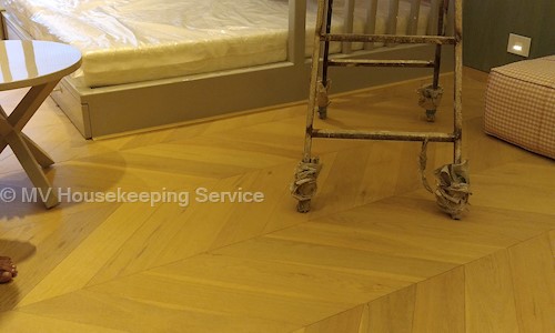 Manoj Verma - Pest Control in Indore H O, Indore