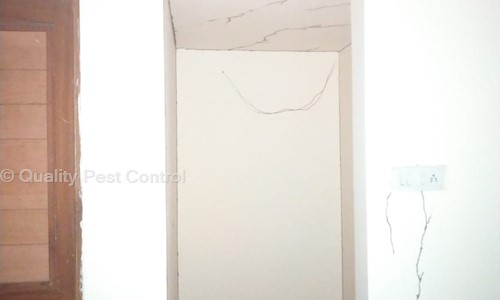 Quality Pest Control - Pest Control in Gokulpeth, Nagpur