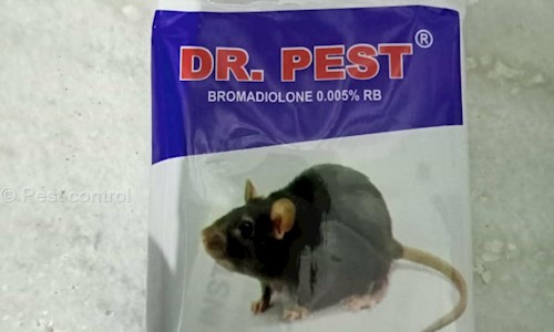 Pest Control Services - Pest Control in Dahar Ka Balaji, Jaipur