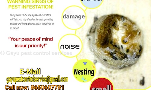 Gayu pest control services - Pest Control in Delta II, Greater Noida
