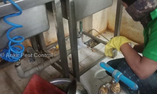 Chattar Singh Chouhan - Pest Control in Sola, Ahmedabad