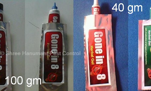 Shree Hanumant Pest Control - Pest Control in Indira Nagar, Lucknow