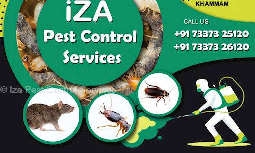 Iza Pest Control Services - Pest Control in Poranki, Vijayawada