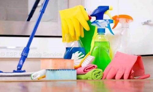 ESP Cleaning Service - Pest Control in Attibele, Bangalore