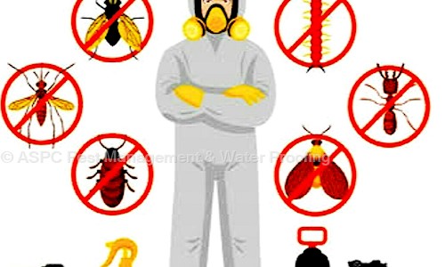 ASPC Pest Management & Water Proofing - Pest Control in Parvati Nagar, Nagpur