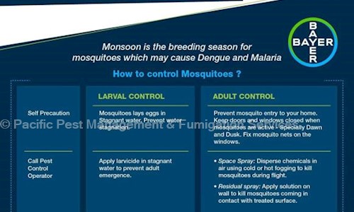 Pacific Pest Management & Fumigation Services - Pest Control in Mansarovar, Jaipur