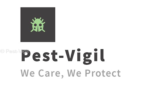 Pest-Vigil - Pest Control in Bhangel, Greater Noida