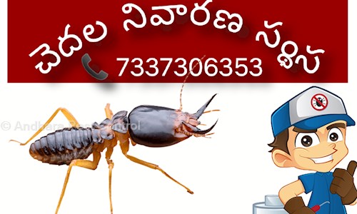Andhara Pest Control - Pest Control in Bapuji Market, Ongole