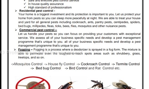 Professional pest management - Pest Control in Benar Road, Jaipur
