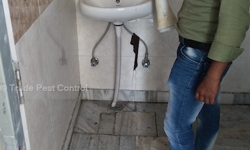Trade Pest Control - Pest Control in Mahavir Enclave, Delhi