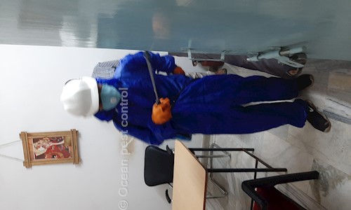 Ocean Pest Control - Pest Control in Bhakti Nagar Colony, Varanasi