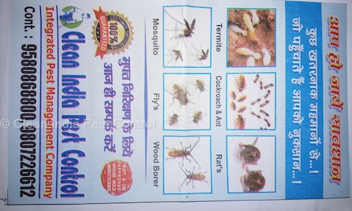 Clean India Pest Control - Pest Control in Naubasta, Kanpur