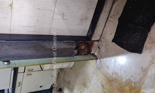 Gurudev Pest Control - Pest Control in Radhanpur Road, Mehsana