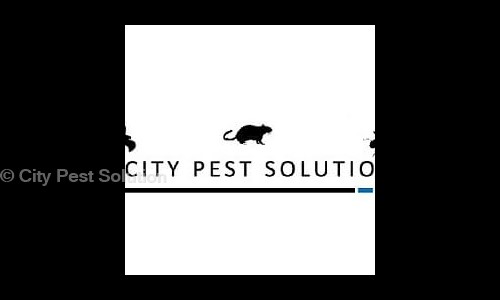 City Pest Solution - Pest Control in Kirkatwadi, Pune