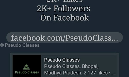 Pseudo Classes - School Tuitions in Vaishali Nagar, Bhopal