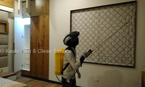 Kashi Pest & Clean Service - Pest Control in Varanasi City, Varanasi