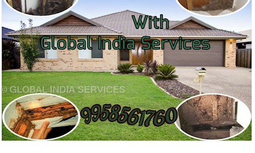Global India Services - Pest Control in Manesar, Gurgaon