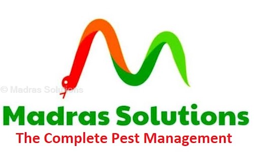 Madras Solutions - Pest Control in Chromepet, Chennai