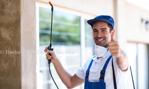 Herbal Pest Control Service - Pest Control in Palarivattom, Cochin