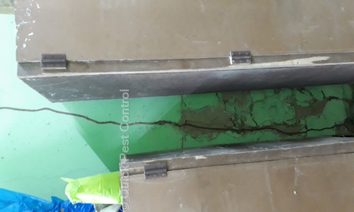 Quick Pest Control - Pest Control in Pallipalayam, Tiruchengode