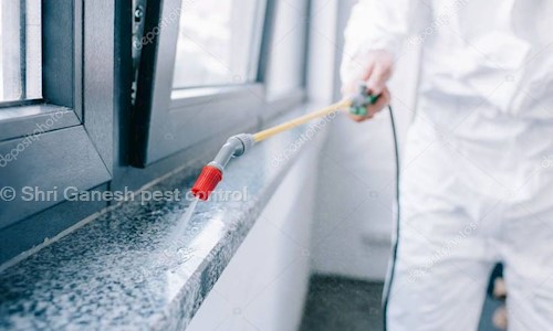 Shri Ganesh pest control - Pest Control in Warje, Pune