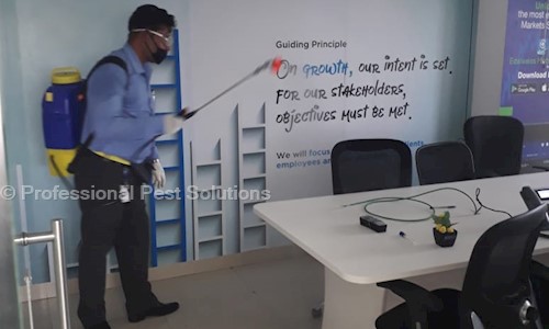 Professional Pest Solutions - Pest Control in Hadapsar, Pune