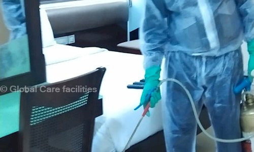 Global Care facilities - Pest Control in Byappanahalli, Bangalore