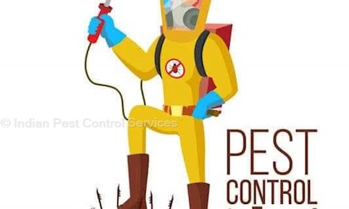 Indian Pest Control Services - Pest Control in Maldahiya, Varanasi