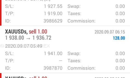 GOLD MINE FOREX - Job Training in Perumanttunallur, Chennai