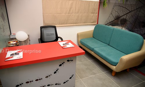 Dev Enterprise - Pest Control in Vemali, Vadodara
