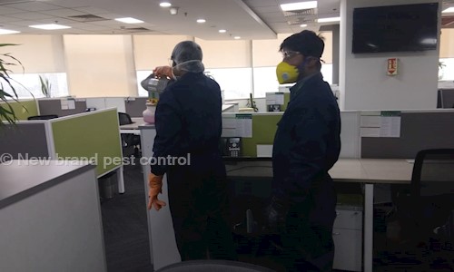 New brand pest control - Pest Control in Hanuman Nagar, Patna